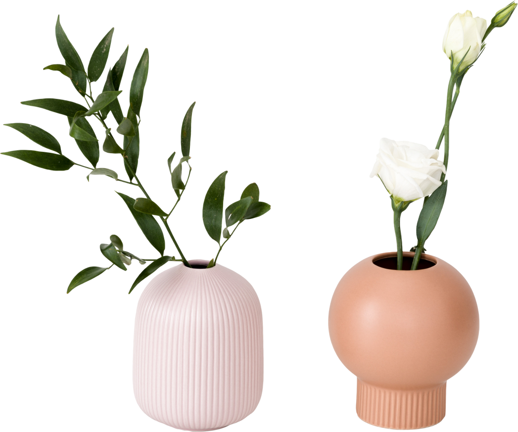 Stylish Vases with Flowers and Plants